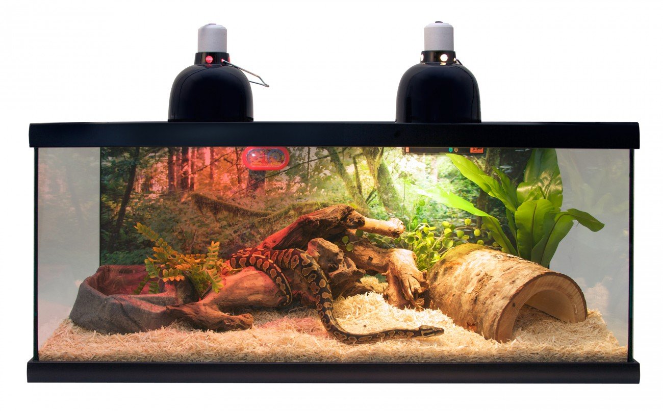 Aquarium Tank Kit Reptile Turtle Frog Lizard Snake Exo Animal Habitat for  sale online